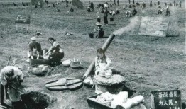 知青奇闻爆料视频,那些不为人知的奇闻轶事